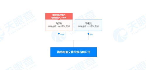 馬伊琍海南布局新賽道 文化傳媒公司成立，深耕演藝與網(wǎng)絡文化經(jīng)營